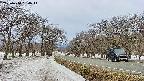 takano1-20250410094016.jpg