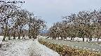 takano1-20250410095017.jpg