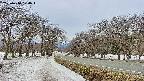 takano1-20250410100017.jpg