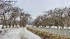 takano1-20250410101017.jpg