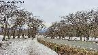 takano1-20250410102018.jpg