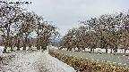 takano1-20250410104017.jpg