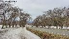 takano1-20250410110019.jpg