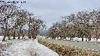 takano1-20250410111016.jpg