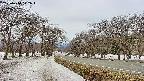 takano1-20250410112018.jpg