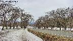 takano1-20250410113017.jpg