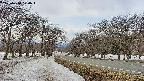 takano1-20250410120018.jpg