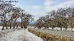 takano1-20250410122018.jpg