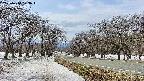 takano1-20250410123018.jpg