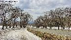 takano1-20250410124018.jpg