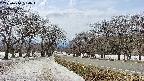 takano1-20250410130018.jpg