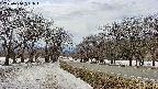takano1-20250410131018.jpg