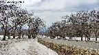 takano1-20250410133019.jpg
