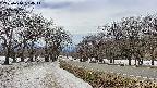 takano1-20250410134018.jpg