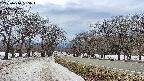 takano1-20250410135016.jpg