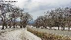 takano1-20250410140018.jpg