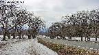 takano1-20250410141018.jpg