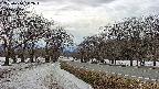 takano1-20250410142018.jpg