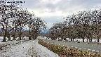 takano1-20250410143019.jpg