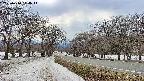 takano1-20250410144017.jpg