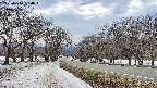 takano1-20250410150018.jpg