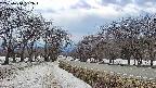 takano1-20250410152017.jpg