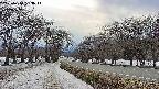takano1-20250410153017.jpg