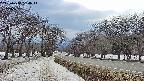 takano1-20250410154018.jpg