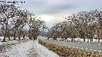 takano1-20250410161019.jpg