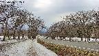 takano1-20250410162017.jpg