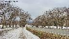 takano1-20250410165015.jpg