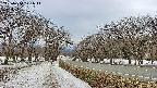 takano1-20250410171018.jpg