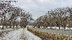 takano1-20250410172019.jpg