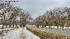 takano1-20250410173018.jpg