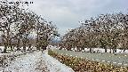 takano1-20250410174018.jpg