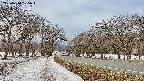 takano1-20250410175016.jpg