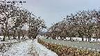 takano1-20250410180018.jpg