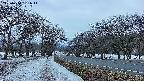 takano1-20250410181017.jpg