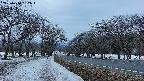 takano1-20250410182016.jpg