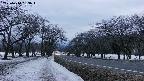 takano1-20250410183016.jpg
