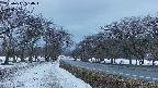 takano1-20250411050017.jpg