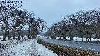 takano1-20250411051016.jpg