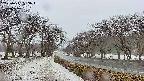 takano1-20250411053017.jpg