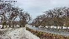 takano1-20250411055017.jpg