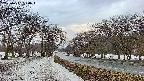 takano1-20250411060016.jpg