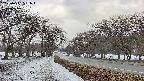 takano1-20250411061017.jpg