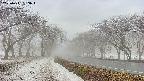 takano1-20250411063016.jpg