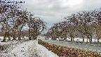 takano1-20250411064016.jpg