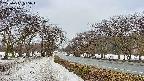 takano1-20250411065017.jpg