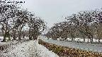 takano1-20250411070016.jpg